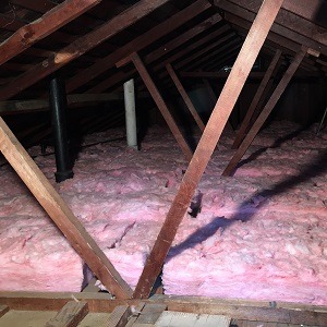 Attic cleanup and insulation removal after raccoon infestation