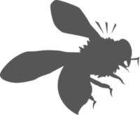 Bee Removal Los Angeles County