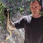 Snake Removal & Control Snake Removal and Control