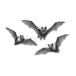 Bat control and bat removal in Southern California