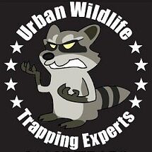 Urban Wildlife Trapping Experts