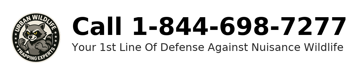 Urban Wildlife Trapping Experts