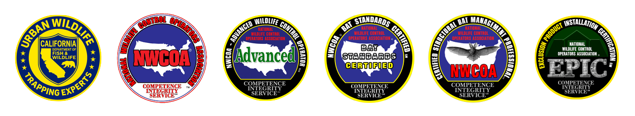 Urban Wildlife Trapping Experts certifications and wildlife control credentials